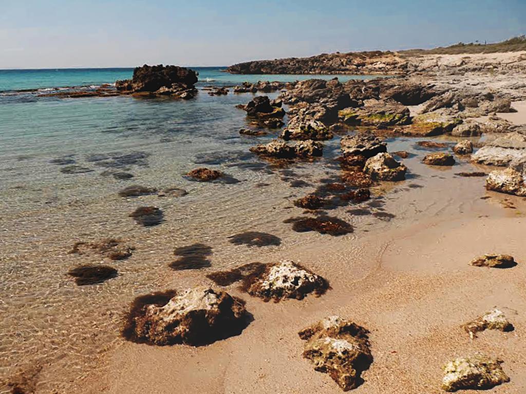 Luxury Beach Villa Puglia Italy Pulsano Eksteriør billede